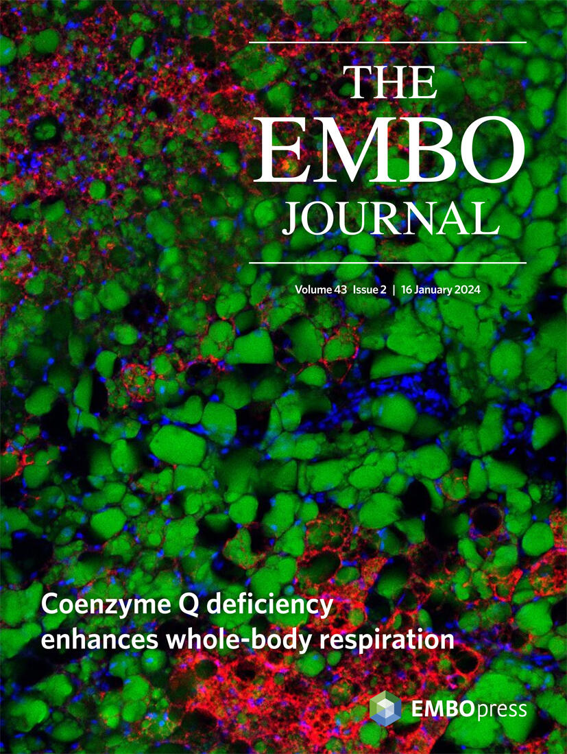 The cover page of the EMBO journal