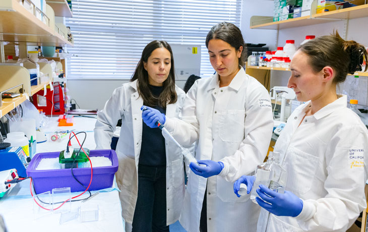 Ana Arruda and students at lab