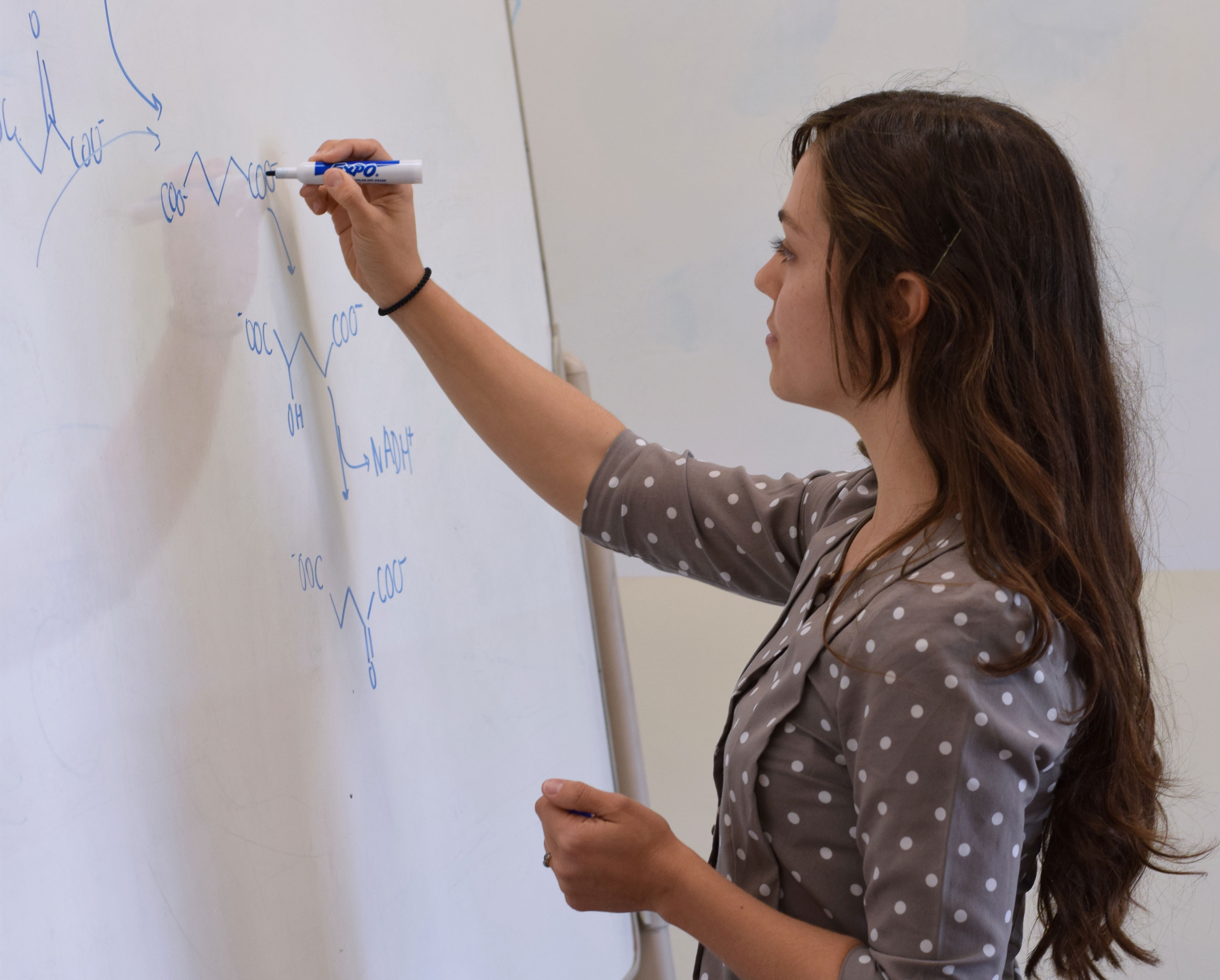 Student writing on a whiteboard