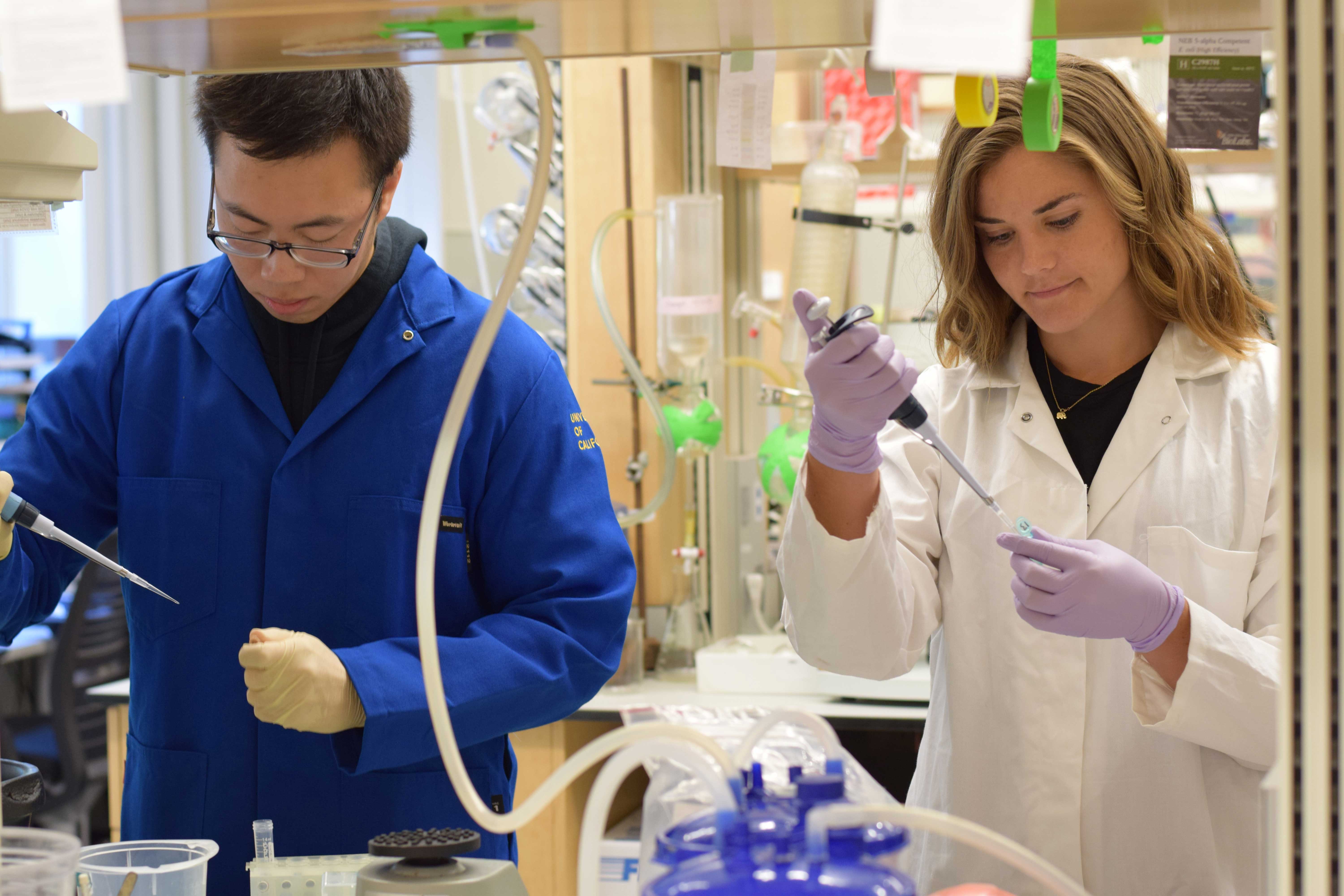 Researhers in a lab.