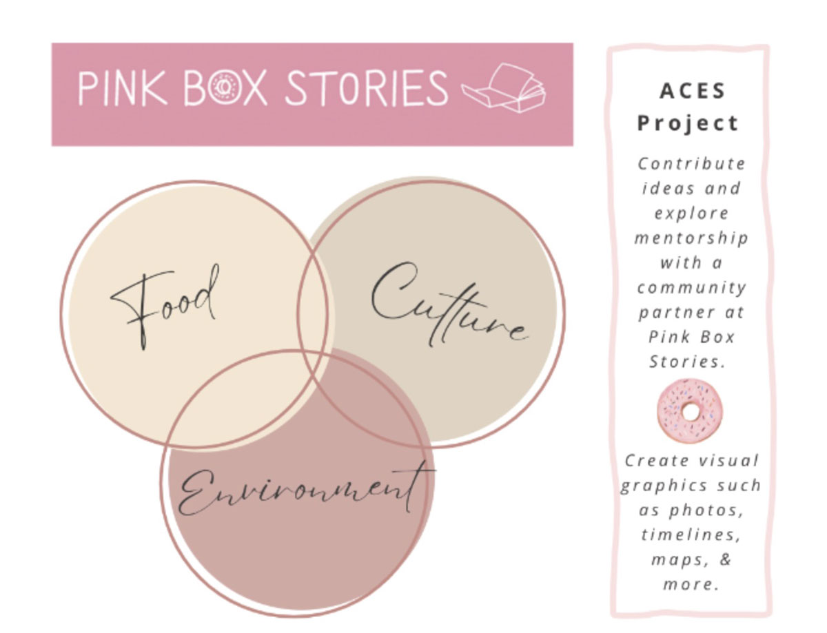 Graphic of NST project Pink Box Stories