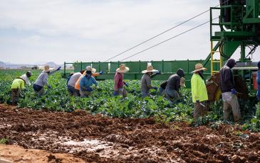 A group of farmworkers gather near a piece of green farm equipment.