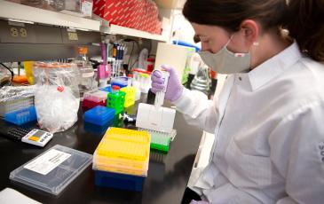 A researcher uses a piece of scientific equipment in a lab environment.