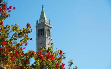 Photo of the campanile. 